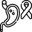 Stomach ulcers