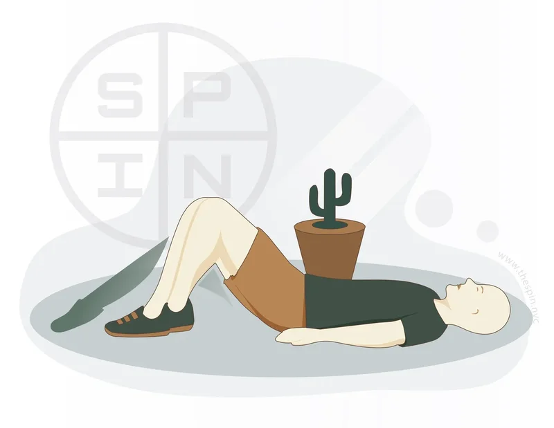 Knee Flexion with Heel Slide