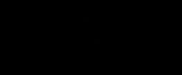 Partner 4