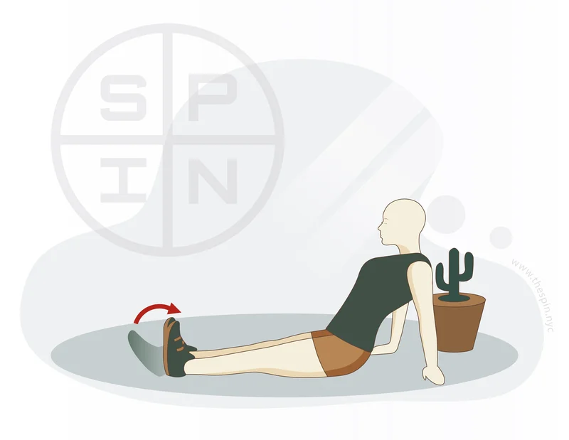 Ankle Dorsiflexion