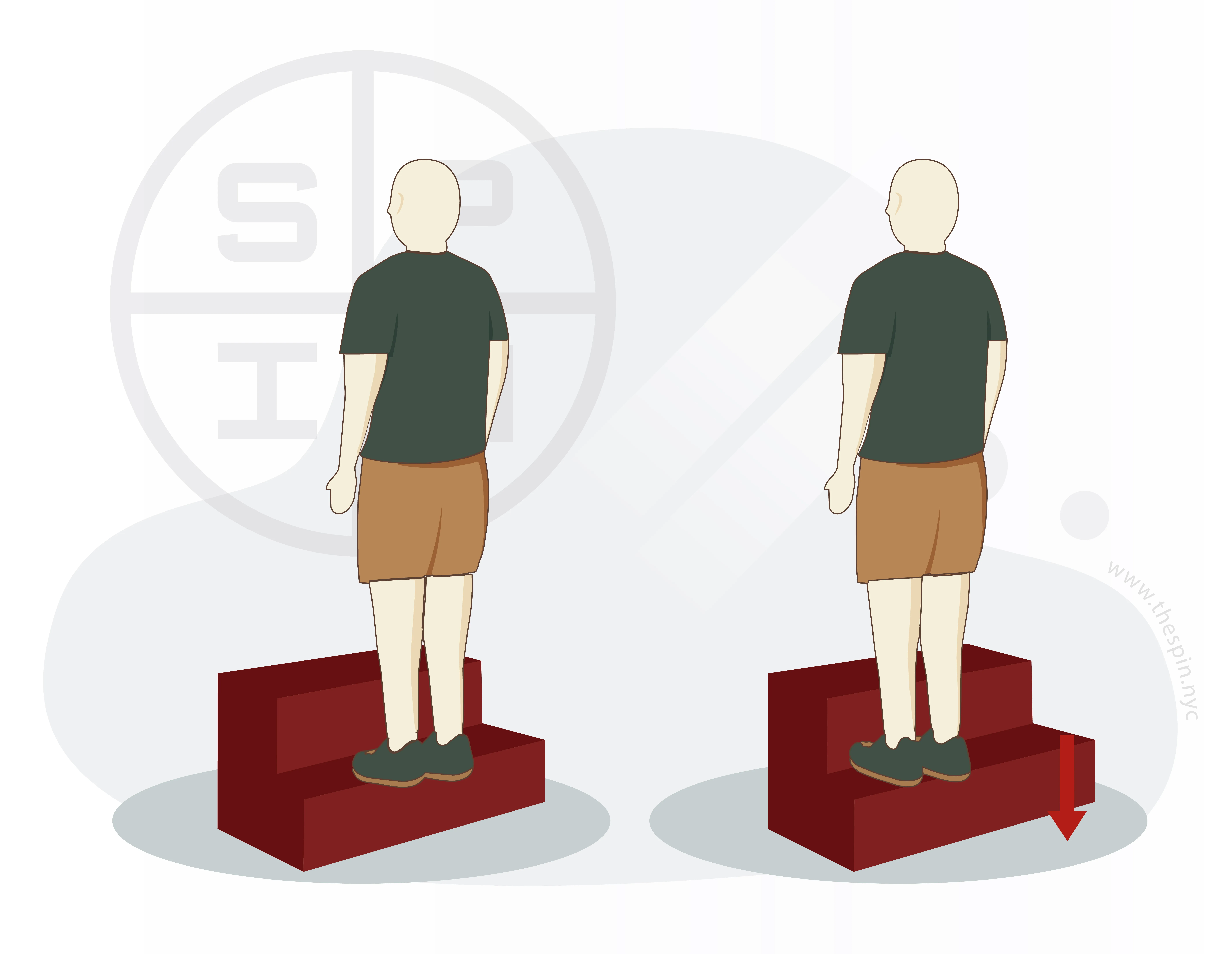 Ankle