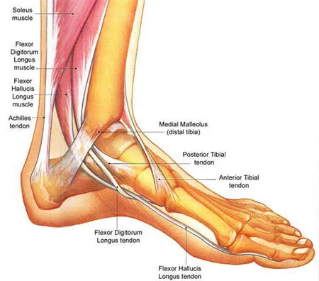 Foot pain treatment doctor specialist NYC — Dr. Febin Melepura