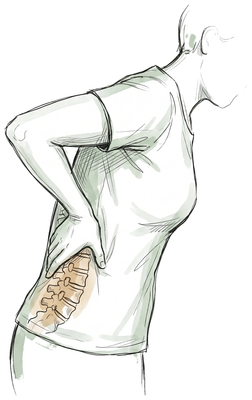 Hand-drawn sketch of a person straightening up with one hand pressed to their lower back, with the lumbar spine showing through