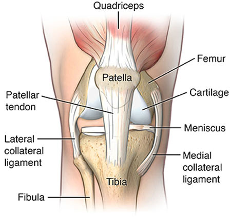 Tendonitis in the Knee Treatment in NYC | Knee Doctor & Specialist