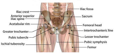 Hip Injury Treatment