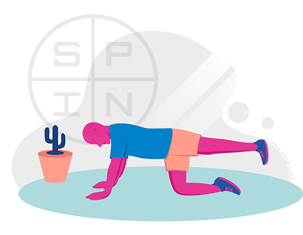 Back ALternate arm and leg bird dog exercise