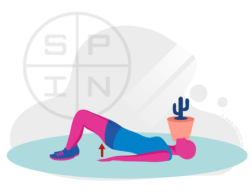 Back Hip Bridging Exercise