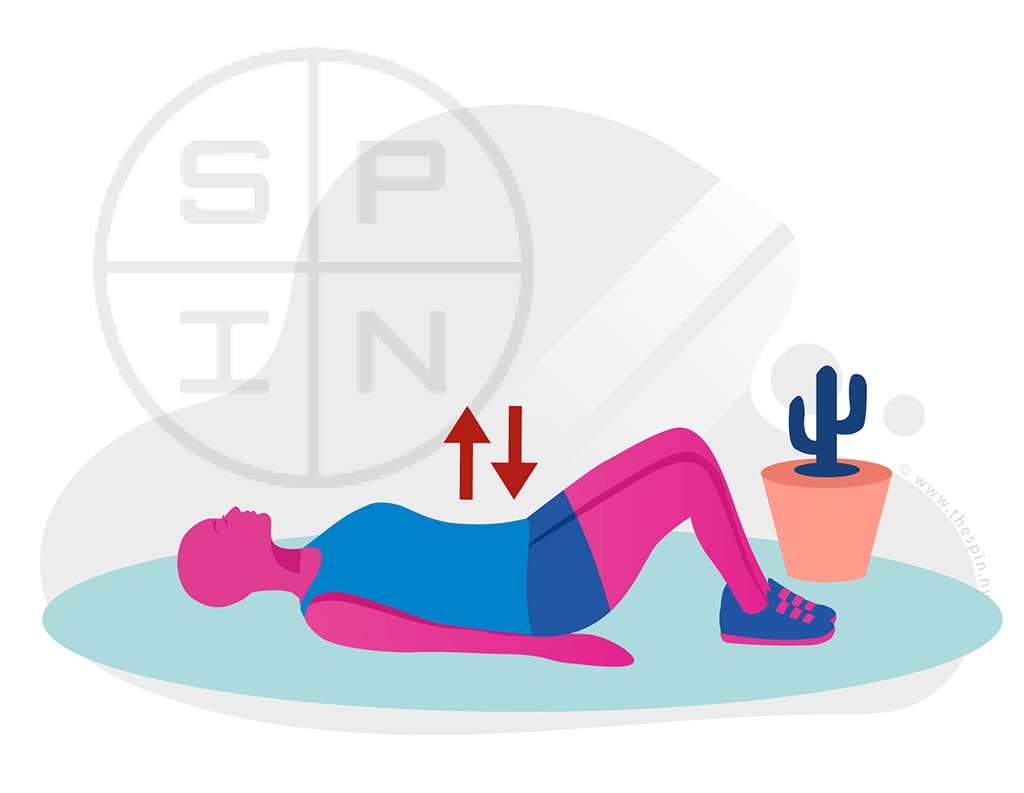 Back Pelvic Tilt Exercise