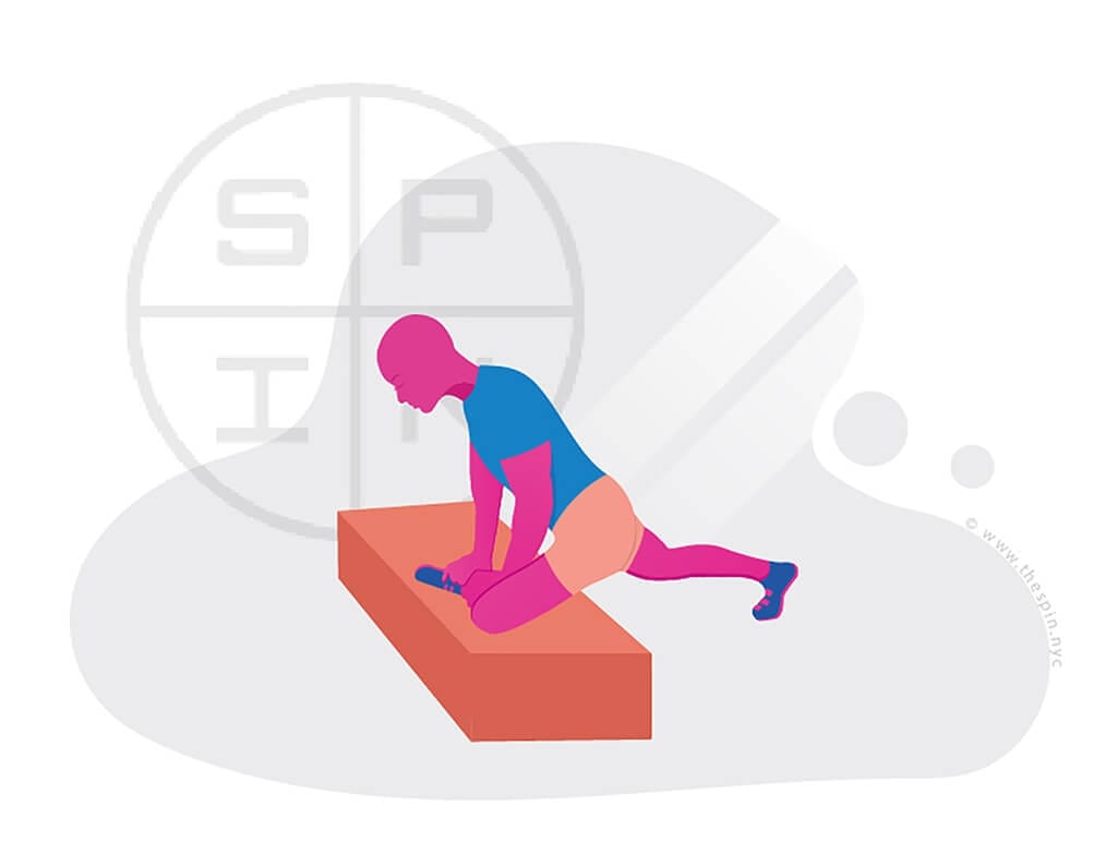 Sitting-Pigeon-Direction